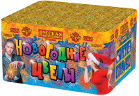 Новогодние цветы Фейерверк купить в Гудермесе | gudermes.salutsklad.ru