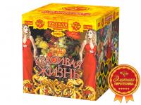 Красивая жизнь Фейерверк купить в Гудермесе | gudermes.salutsklad.ru