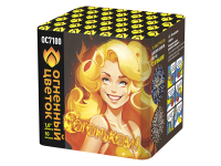 С огоньком! Фейерверк купить в Гудермесе | gudermes.salutsklad.ru