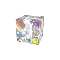 Новогодняя ночь Салют купить в Гудермесе | gudermes.salutsklad.ru