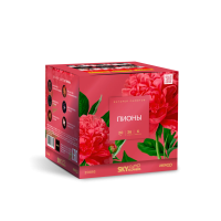 Пионы Салют купить в Гудермесе | gudermes.salutsklad.ru