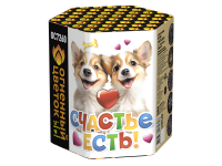 Счастье есть! Салют купить в Гудермесе | gudermes.salutsklad.ru