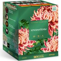 Хризантемы Фейерверк купить в Гудермесе | gudermes.salutsklad.ru