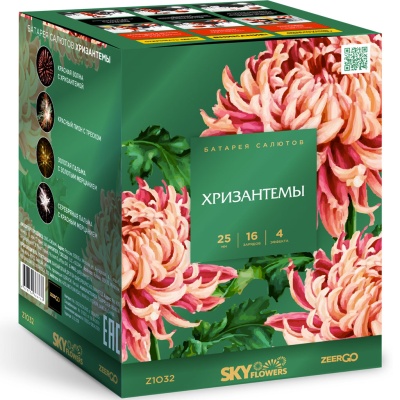 Хризантемы Фейерверк купить в Гудермесе | gudermes.salutsklad.ru