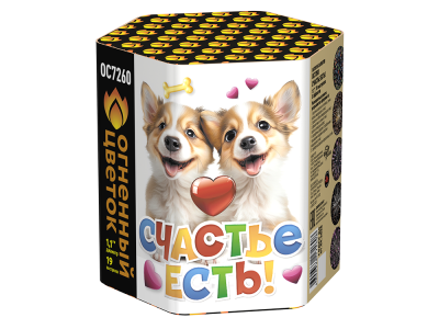 Счастье есть! Салют купить в Гудермесе | gudermes.salutsklad.ru