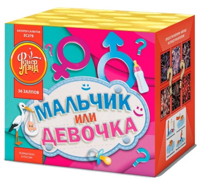 Мальчик или девочка М Фейерверк купить в Гудермесе | gudermes.salutsklad.ru